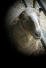 Abschied von Benni Abschied von Benni